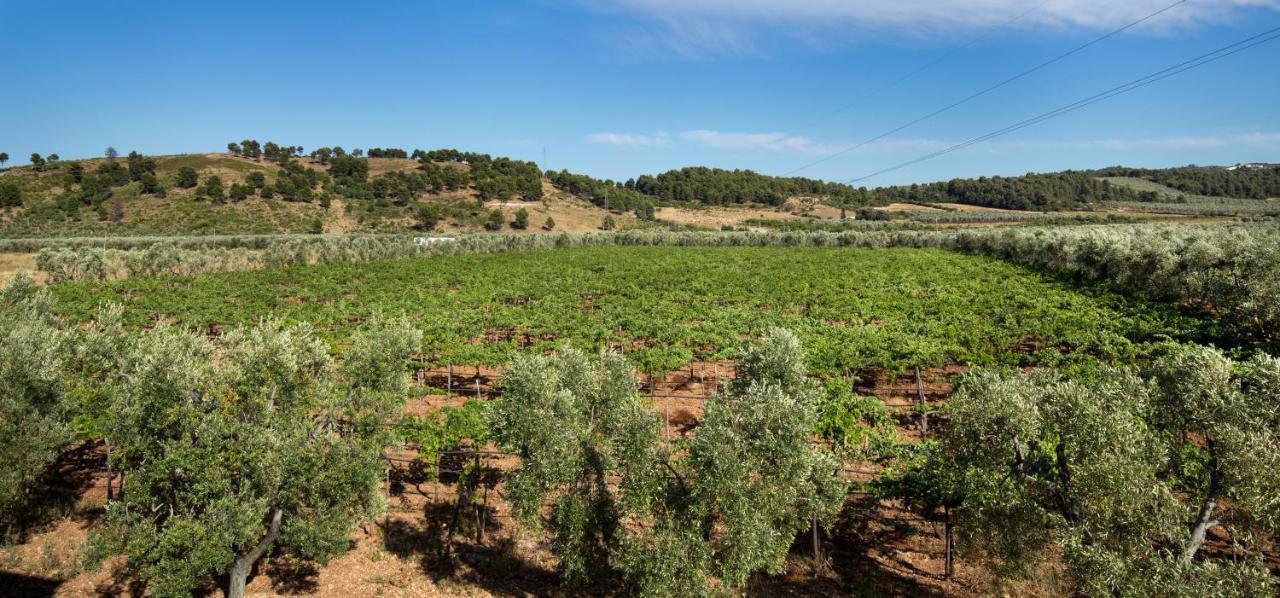 Agriturismo Posta Pastorella Vieste Zewnętrze zdjęcie