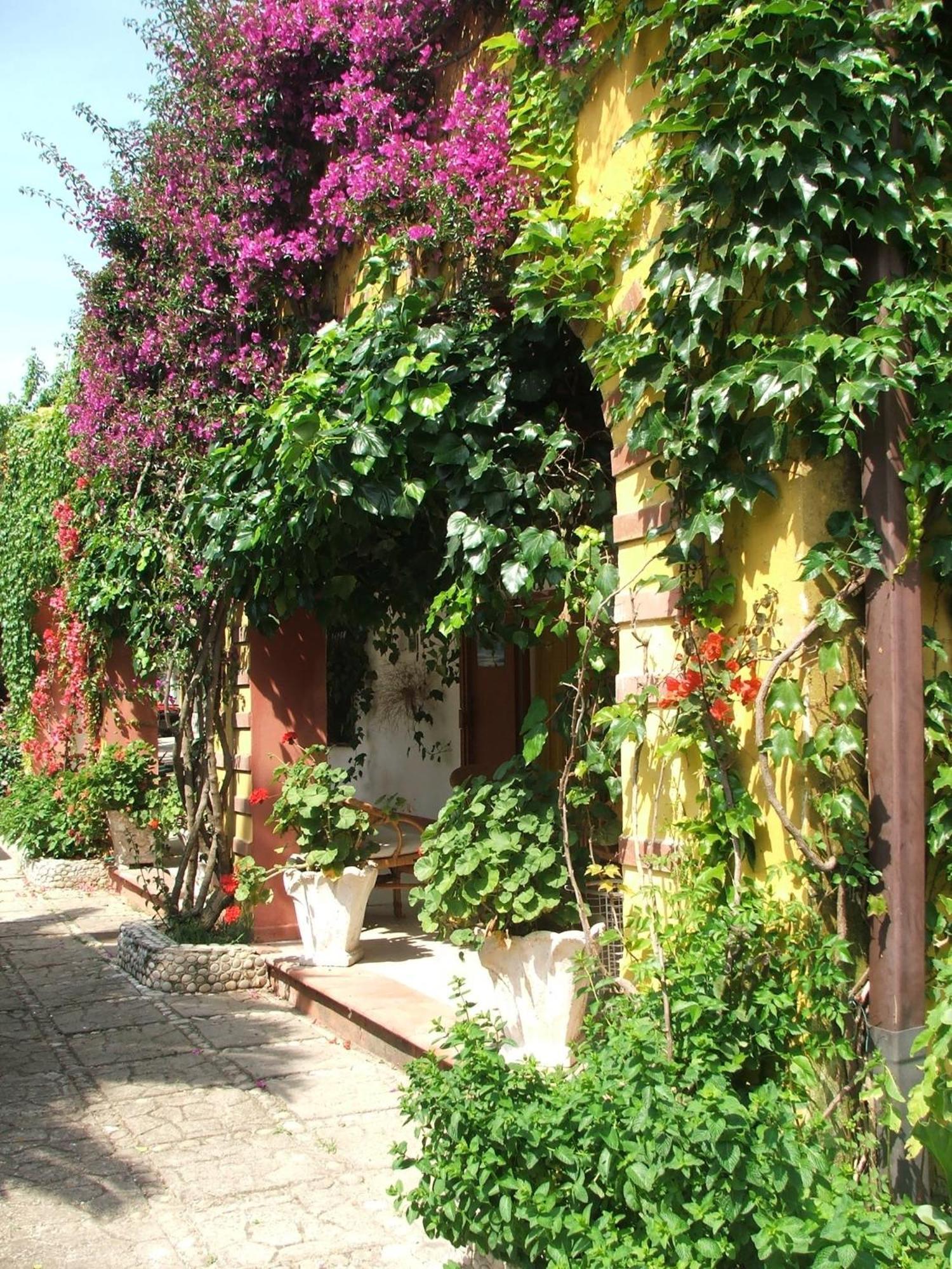 Agriturismo Posta Pastorella Vieste Pokój zdjęcie