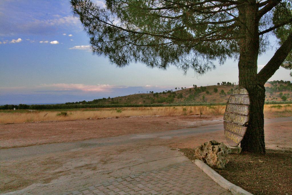 Agriturismo Posta Pastorella Vieste Zewnętrze zdjęcie